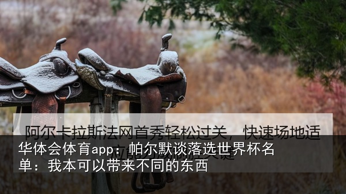 华体会体育app:帕尔相关情况单:我本可相关情况