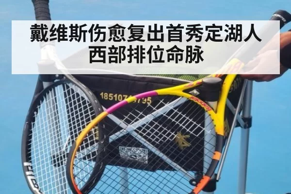 戴维斯伤愈复出首秀定湖人西部排位命脉
