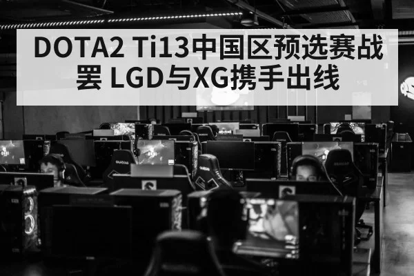 DOTA2 Ti13中国区预选赛战罢 LGD与XG携手出线